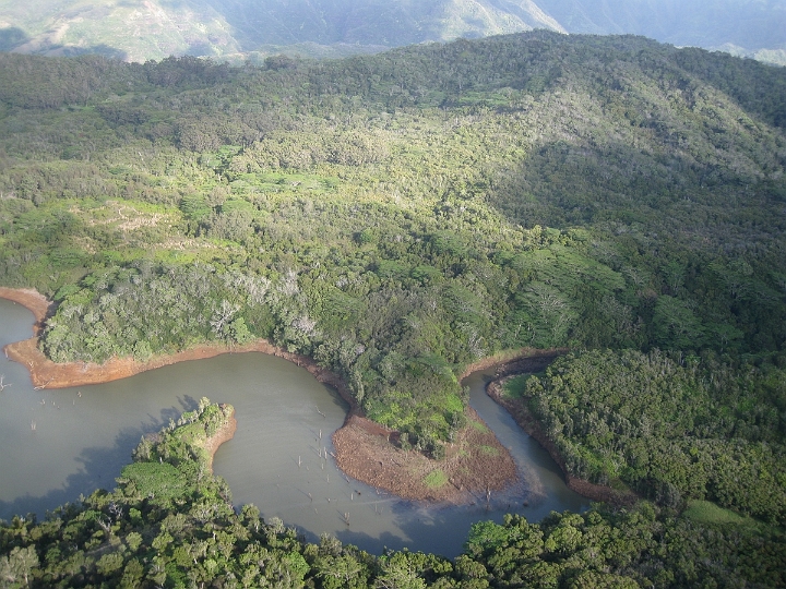 04 Kauai helicopter tour.jpg